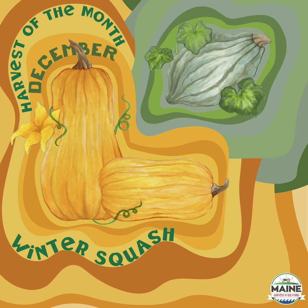 Maine Harvest of the Month Winter Squash