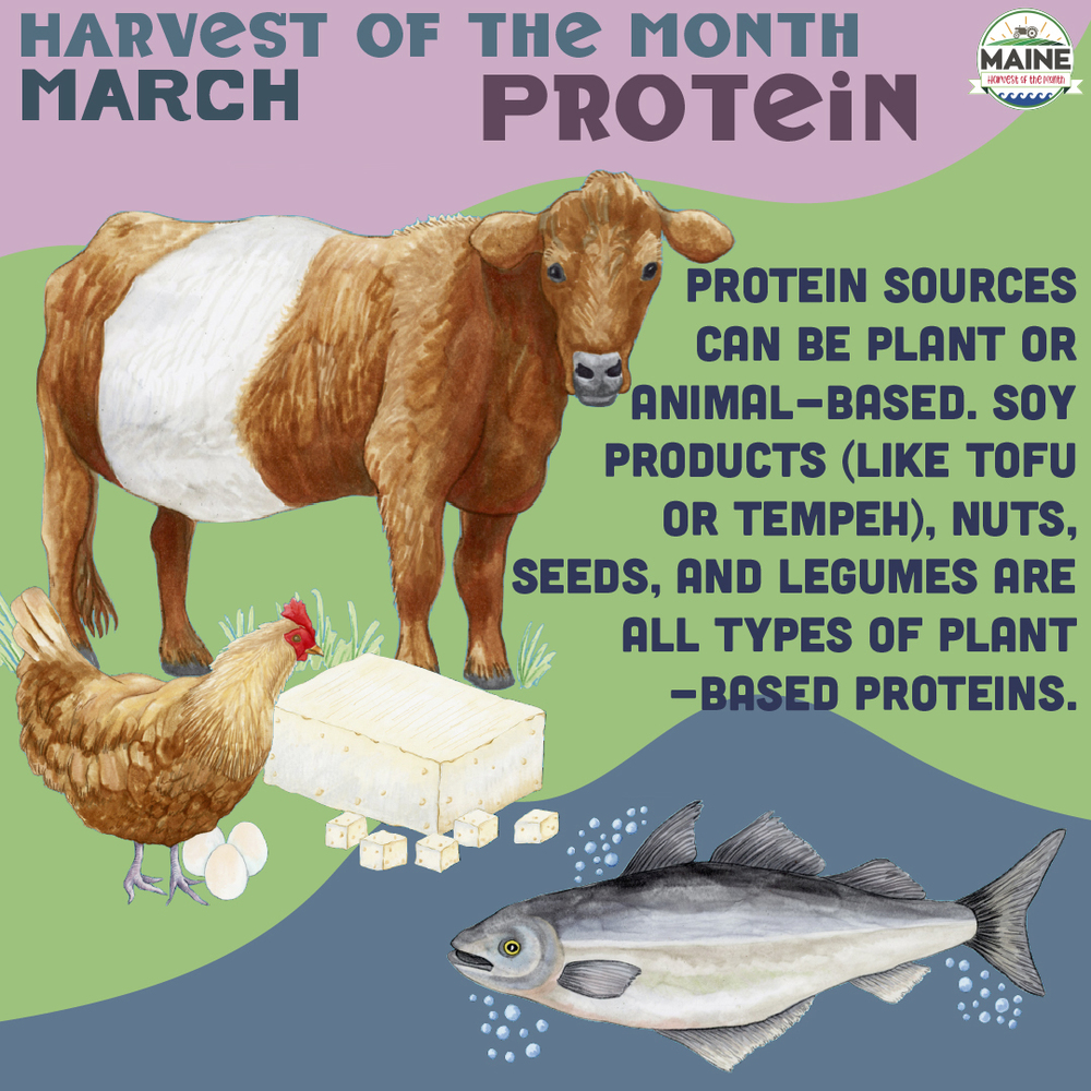 Harvest of the Month March Protein