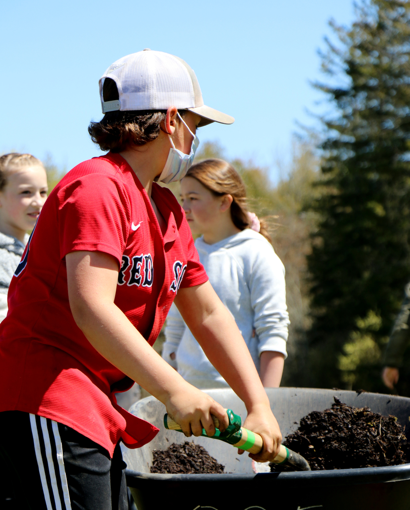 planting trees