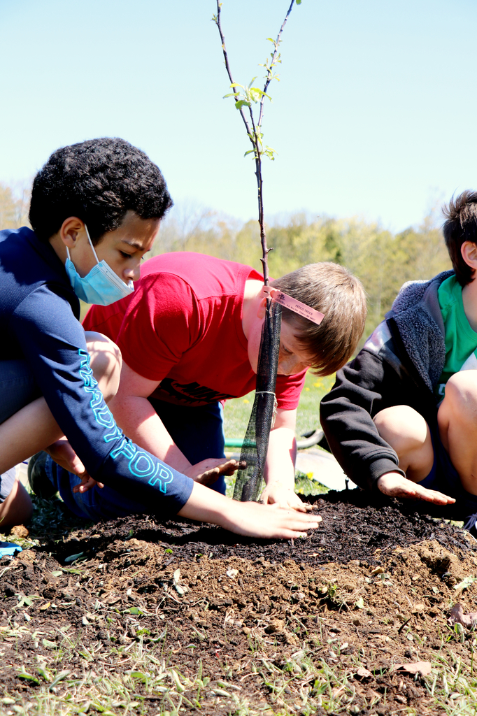planting trees