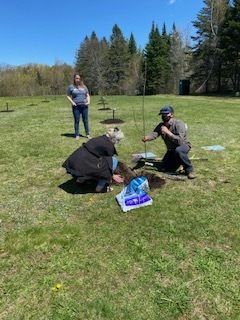 planting trees