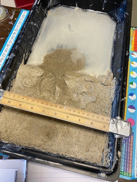 a sand tray